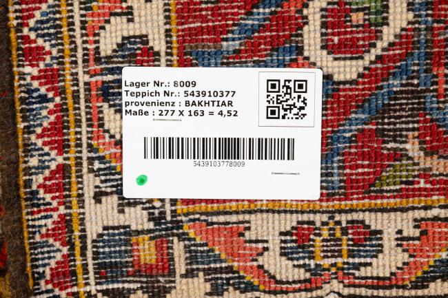 Bakhtiari Antiek - 9