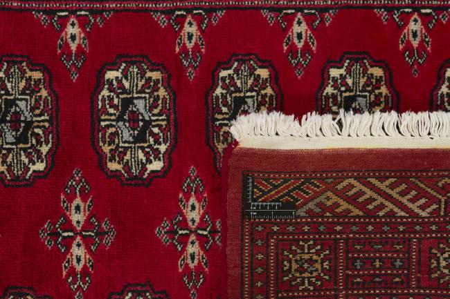 Pakistan Buchara 3ply - 1