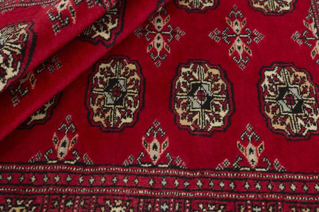 Pakistan Buchara 3ply - 2
