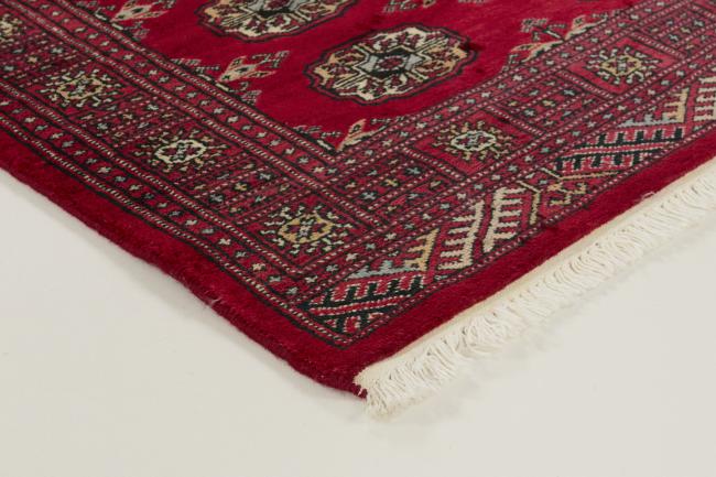 Pakistan Buchara 3ply - 3
