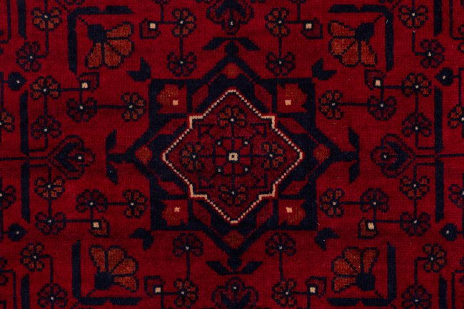 Khal Mohammadi Belgique - 6