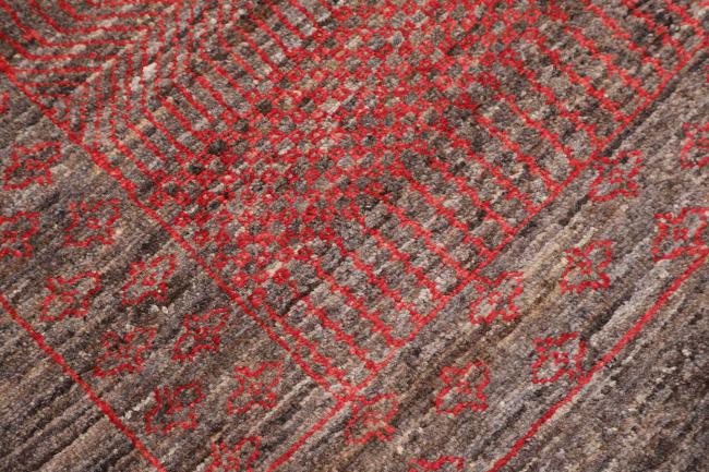 Arijana Spectrum - 5