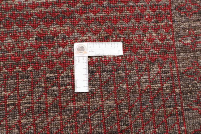 Arijana Spectrum - 9