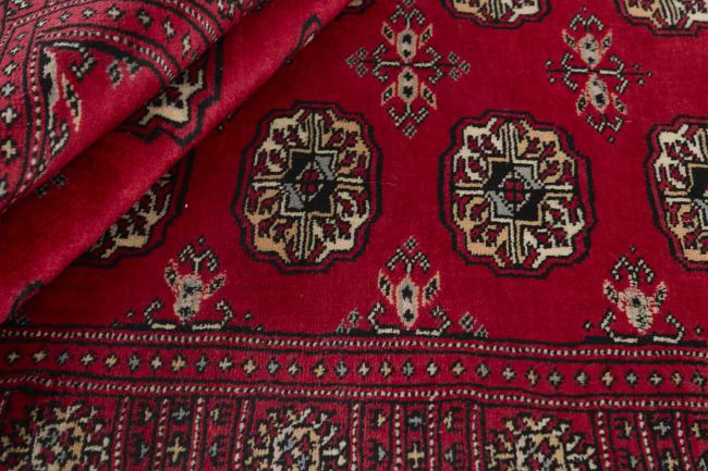 Pakistan Buchara 3ply - 2