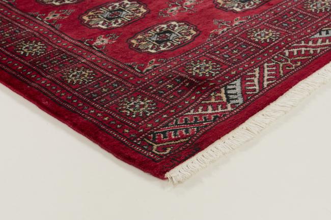 Pakistan Buchara 3ply - 3