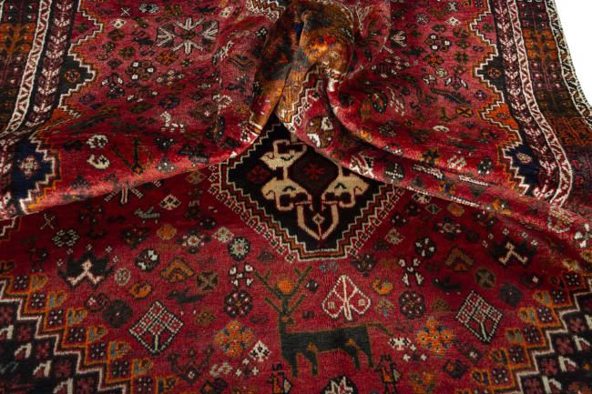 Shiraz - 1
