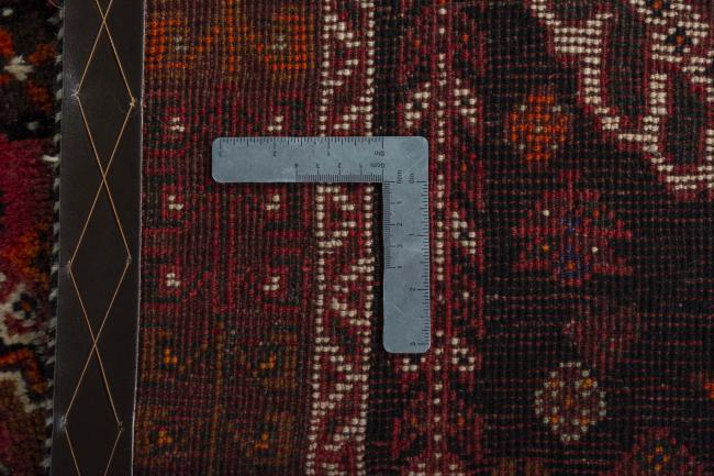Shiraz - 2