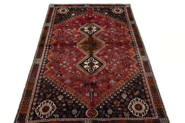 Shiraz - 5