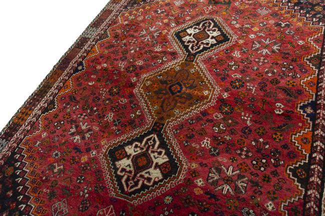 Shiraz - 6