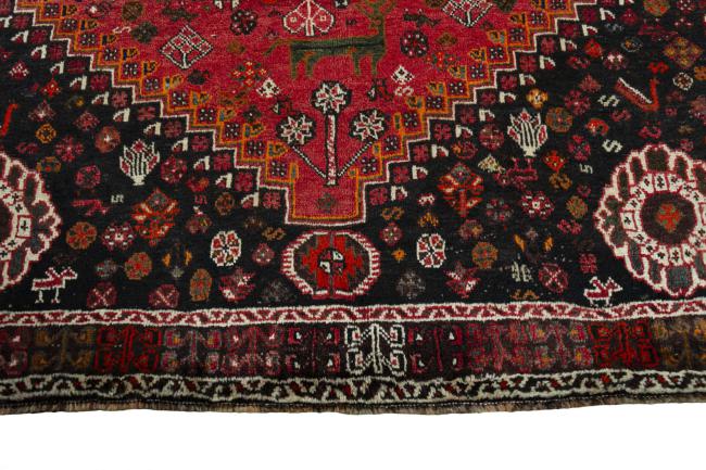 Shiraz - 8