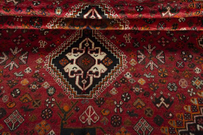 Shiraz - 10