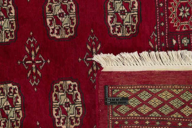 Pakistan Buchara 3ply - 1