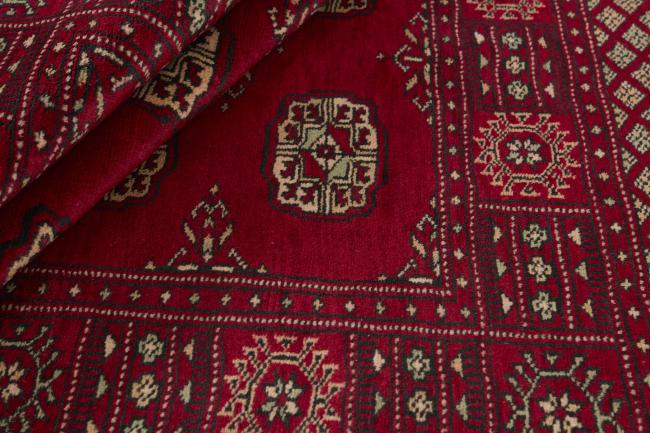 Pakistan Buchara 3ply - 2
