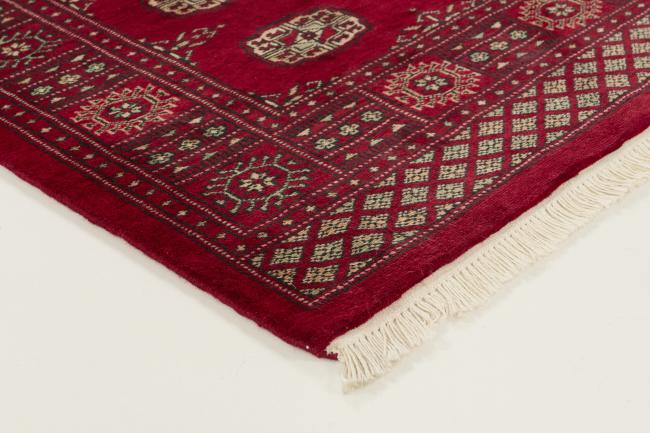 Pakistan Buchara 3ply - 3