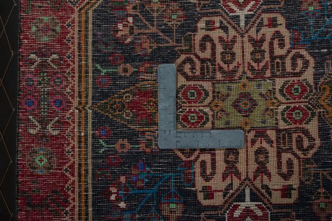 Shiraz - 4