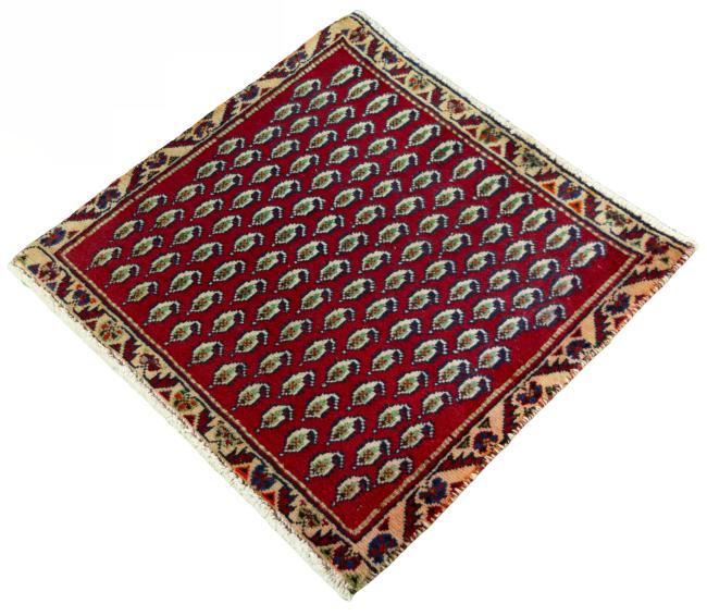 Shiraz - 1