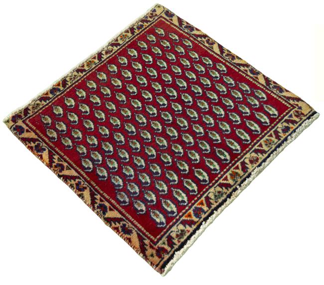 Shiraz - 2