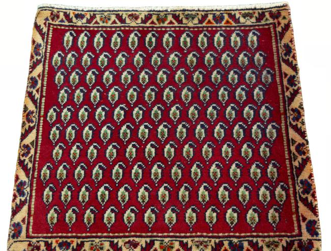Shiraz - 3