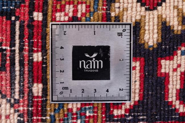 Nimbaft - 8