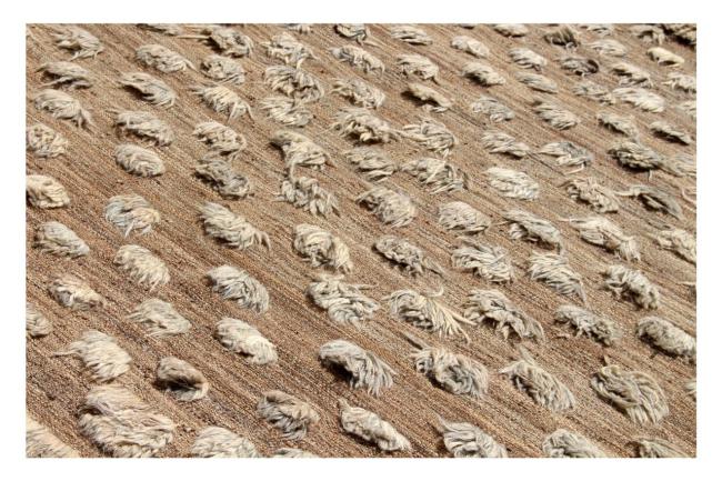 Kilim Afghan Berber Edition - 1