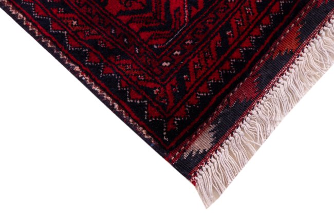 Khal Mohammadi Belgique - 5
