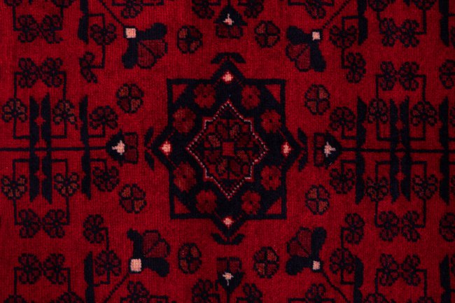 Khal Mohammadi Belgique - 6