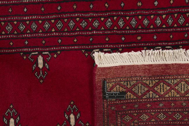 Pakistan Buchara 2ply - 1