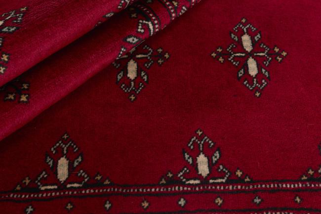 Pakistan Buchara 2ply - 2