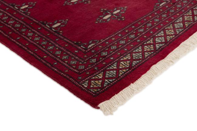 Pakistan Buchara 2ply - 3