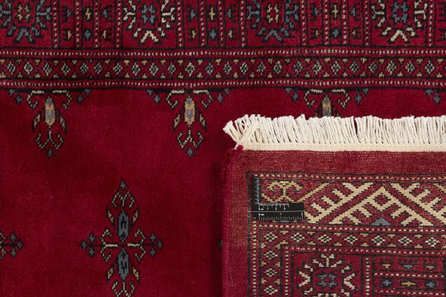 Pakistan Buchara 3ply - 1