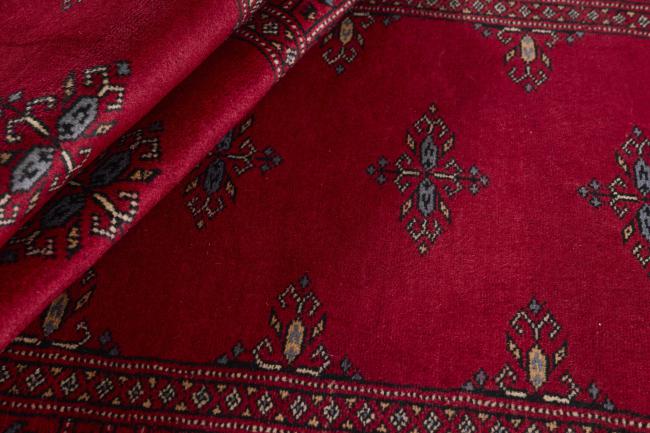 Pakistan Buchara 3ply - 2
