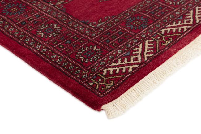 Pakistan Buchara 3ply - 3