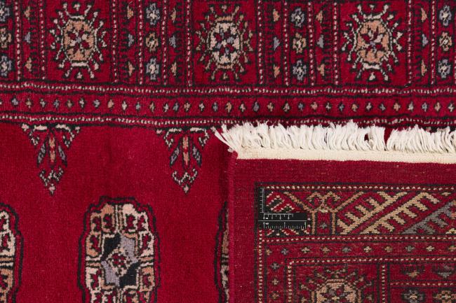 Pakistan Buchara 3ply - 1
