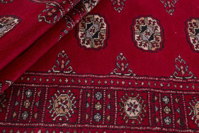 Pakistan Buchara 3ply - 2