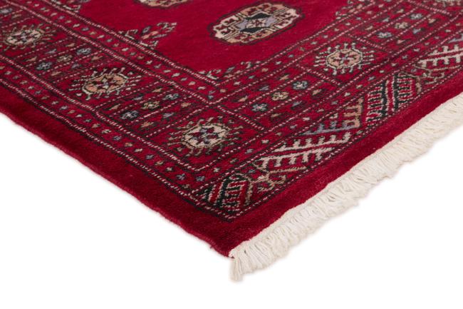 Pakistan Buchara 3ply - 3