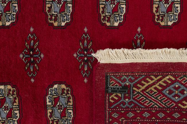 Pakistan Buchara 3ply - 1