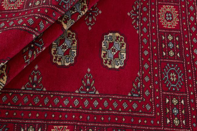 Pakistan Buchara 3ply - 2
