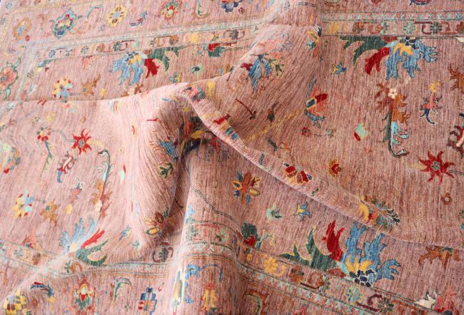 Ziegler Farahan - 11