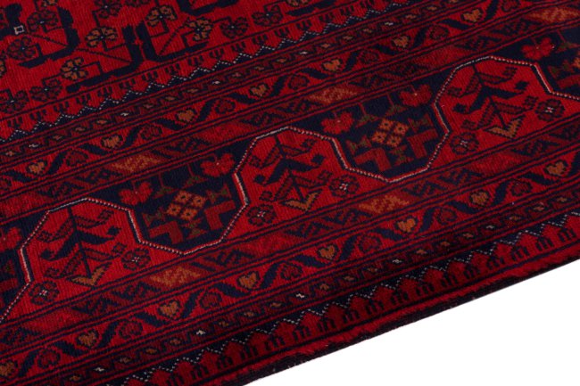 Khal Mohammadi Belgique - 4