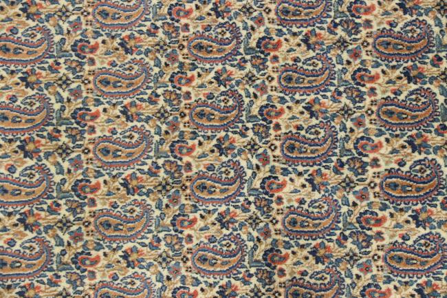 Kerman Rafsanjan Sherkat - 7