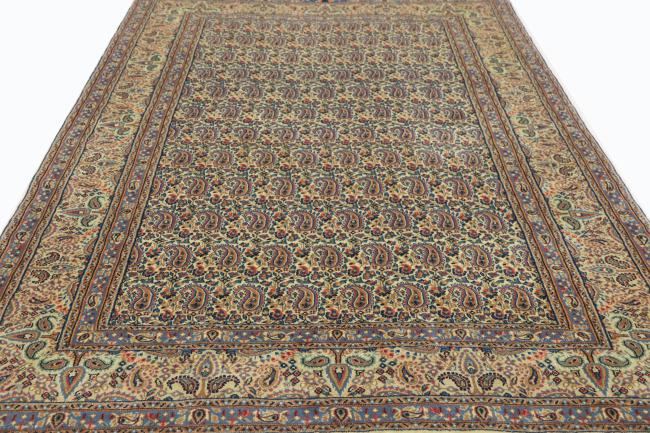 Kerman Rafsanjan Sherkat - 9