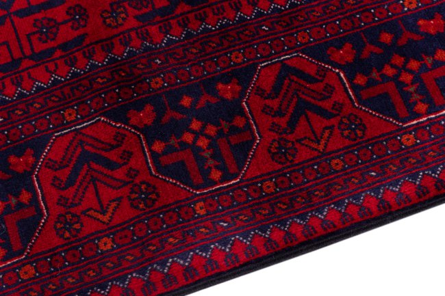 Khal Mohammadi Belgique - 4