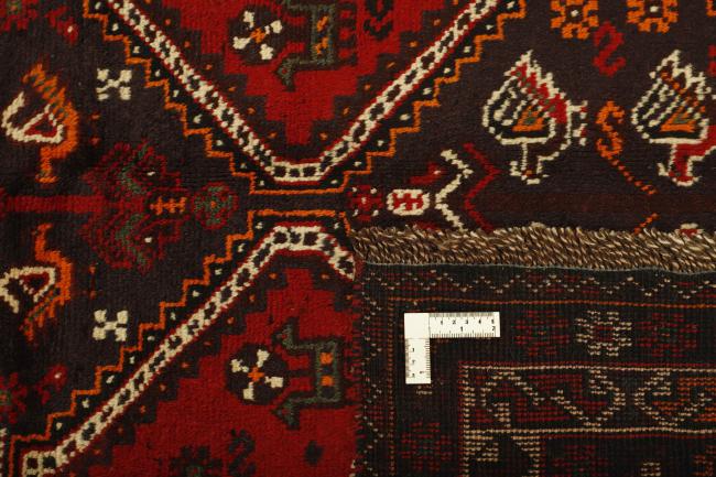 Shiraz - 1