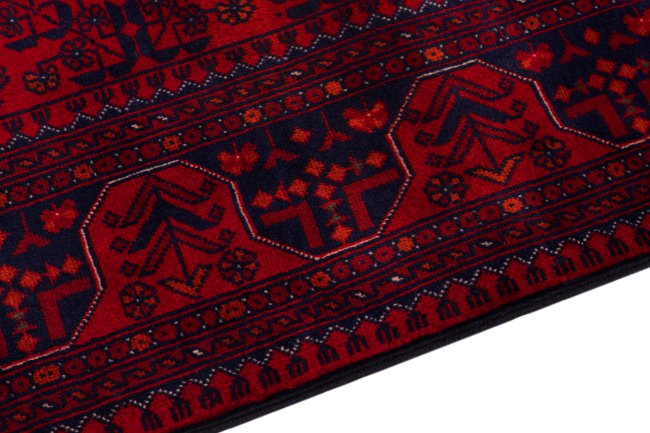 Khal Mohammadi Belgique - 4