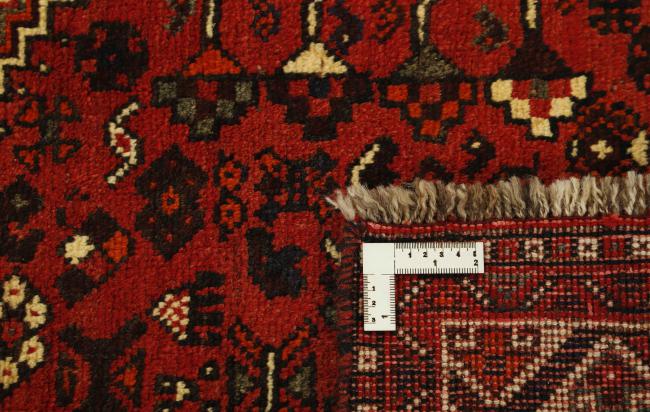 Shiraz - 1