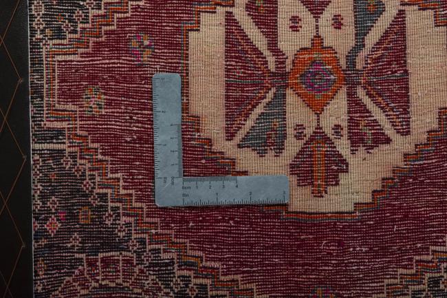 Shiraz - 4
