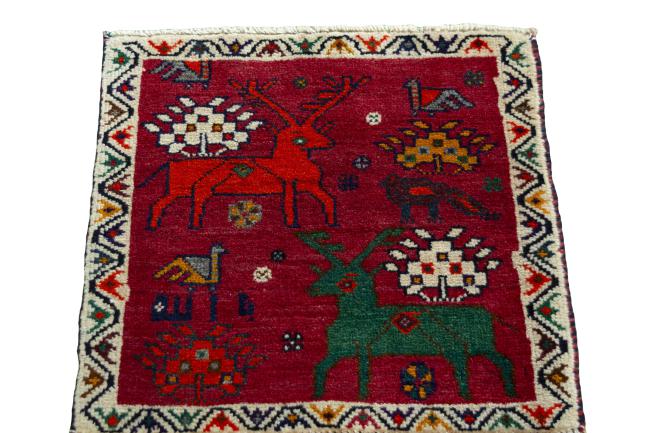 Shiraz - 3