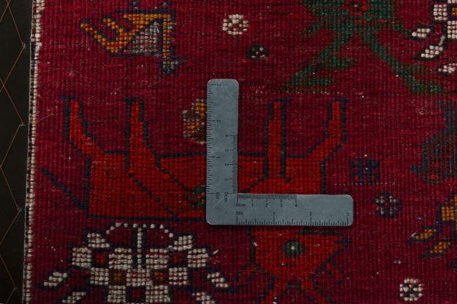 Shiraz - 4
