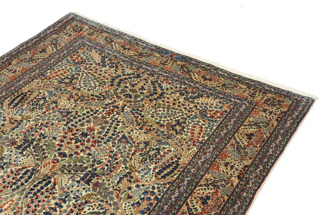 Kerman Rafsanjan Sherkat - 3