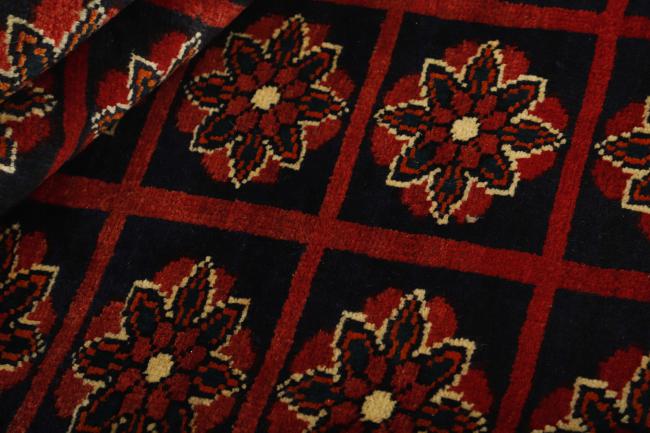 Shiraz - 2